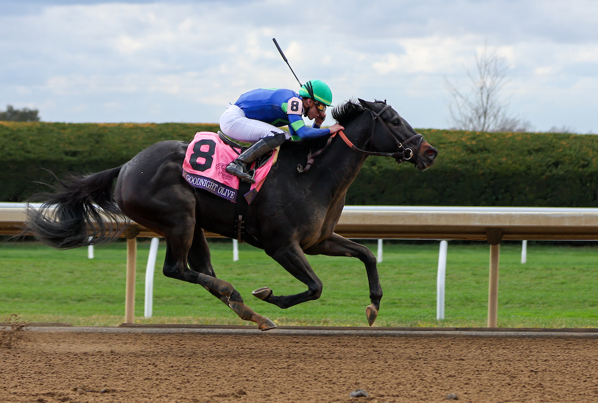 Jeremy Plonk Keeneland AllStakes Pick 5 Saturday, April 8, 2023 1